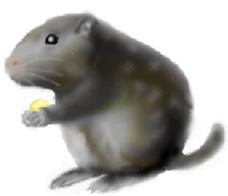 pJi