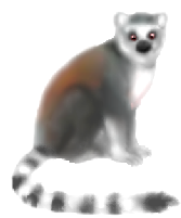 ILclU